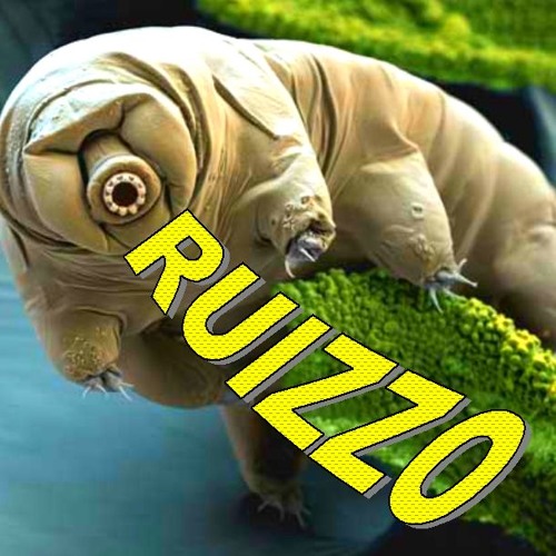 E-Ruizzo Support’s avatar