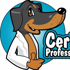 CertifiedProfessionalCoder.com