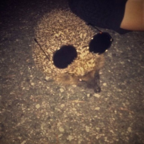 X-Ander - Achtung... Tanzen! (Radio Version)