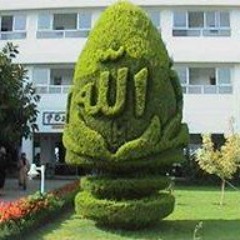 مدىح الصوفىة