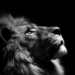 WalidossBeatz | Hip Hop & Tr✪p