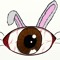 Mr Rabbit