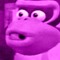dikk snip
