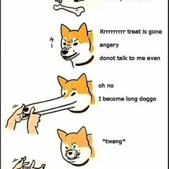 Migration Of The Large Humpback Whale