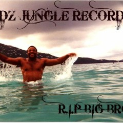 WOODZJUNGLERECORDS