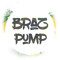 Braz Pump