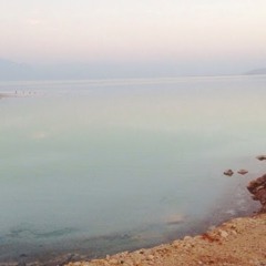 noor alsror