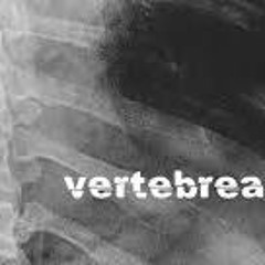 vertebreaker