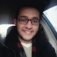 SHERIF EL-ESSAILY-1
