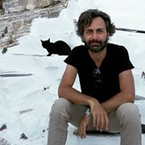 Dario Palma’s avatar
