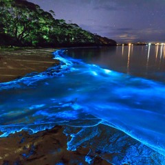 Jihen Abdallah Chelhi