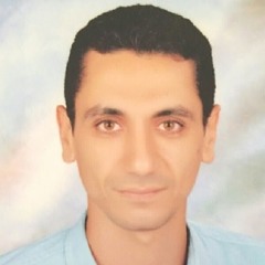 Waleed Salha