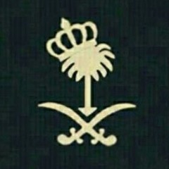 الطياره