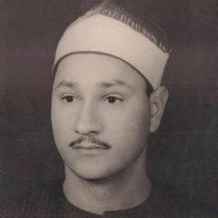 الشيخ عبدالواحد زكى راضى