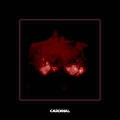 Cardinal Collection