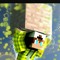 AgeroHD