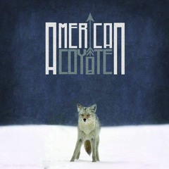 American Coyote