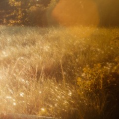 AnoTHer hUMblE aRChitEKt