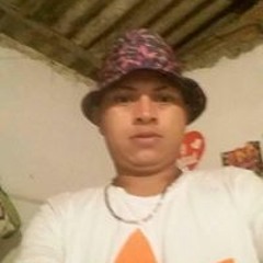 Robinson Licona