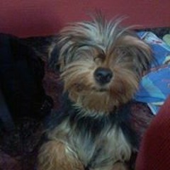 Marcus Vinicius Almeida