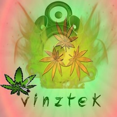 vinztek