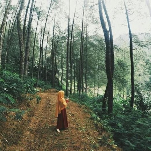 Tulus - Mengagumi mu dari jauh (Cover)