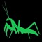 Crooked_Mantis