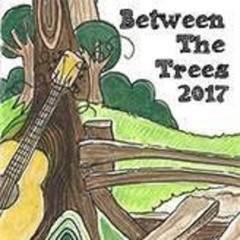Between The Trees Rudry Music Festival