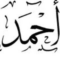 Ahmed Samir Eltorgoman