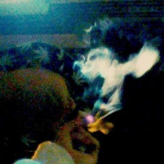 Zona Meditacion :Q  ♪♥♪