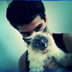 wessam