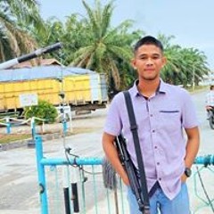 Roy Agustinus Manik