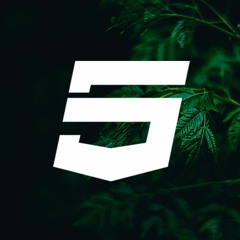 T5 | Ben