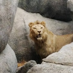 Saxophone Caterpillar