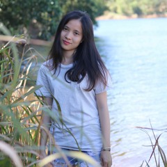 Mèo Mướp