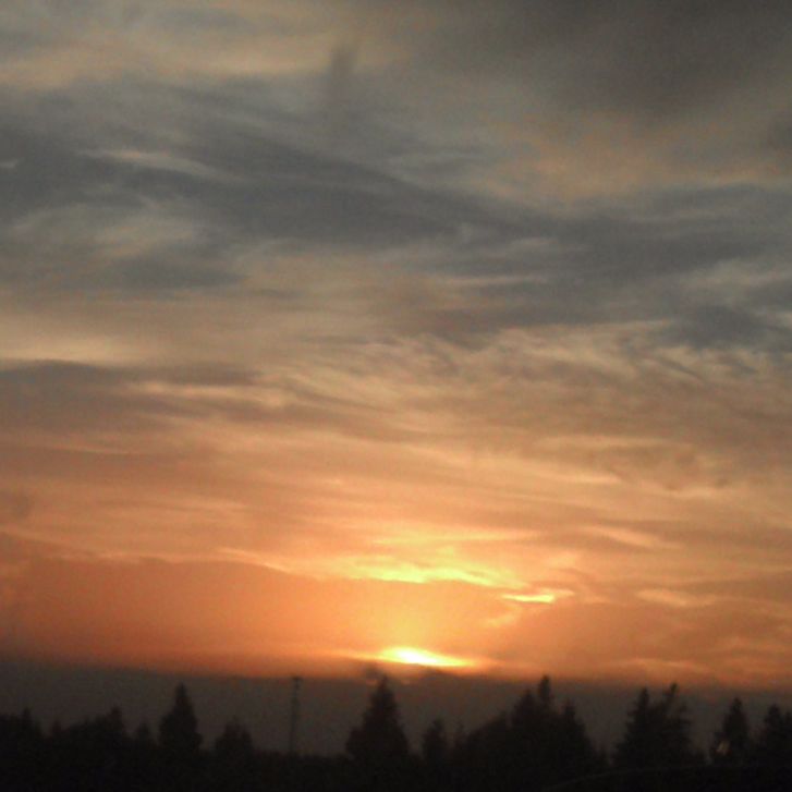 NLCF Sermons cover art