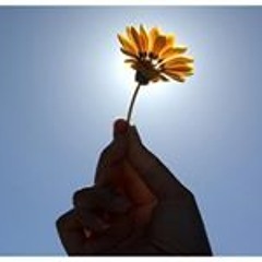 أناوجدان شمس الوفاء