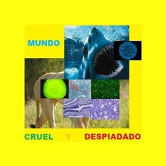 PEDRO AMODIO/ KARATE SLAM