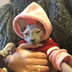 DJ Yakke/Dr. JDrizzle