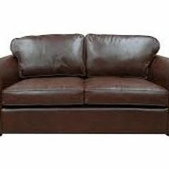 Brown Couch Odyssey