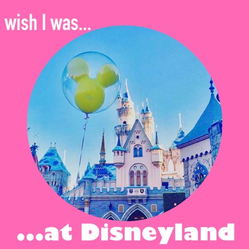 Wish I Was at Disneyland’s avatar