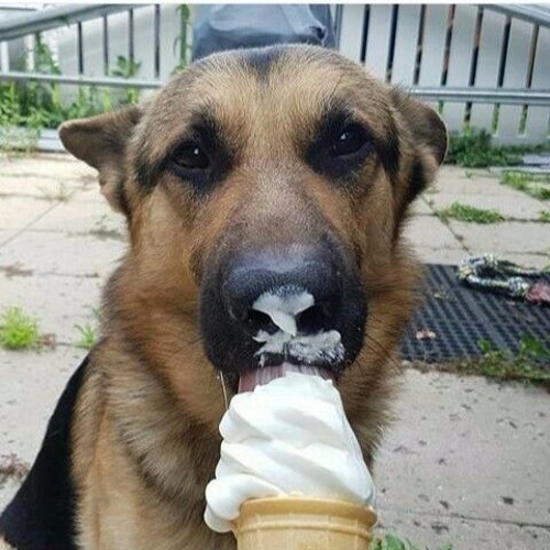 Hopsin - ILL MIND OF HOPSIN 5