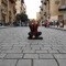 Manar Magdi ♥