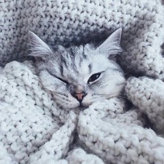 Никита Добрый