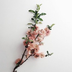 Bree Sayer
