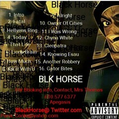BLk Horse