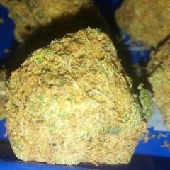 T R E - F L I P •╰ɵ───ɵ╯•