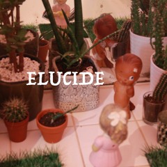 ELUCIDE (free downloading)