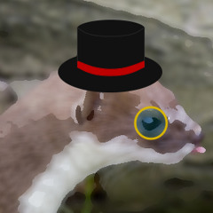 Mr. Stoat