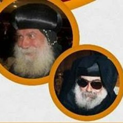 مينا كمال لبيب